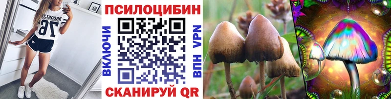 mega продажа наркотиков Гуково Галлюциногенные грибы мицелий